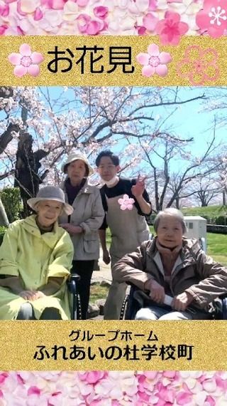 #グループホームふれあいの杜学校町

花見( ´艸｀)

白山公園の桜、施設周辺の桜、満開でした。
心が和みました。

#ふれあいの杜新潟
#グループホーム
#グループホームの過ごし方
#入居者募集中