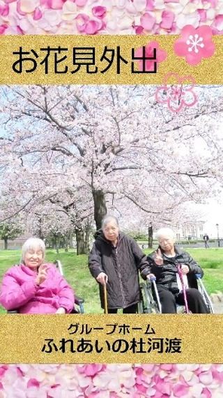 #グループホームふれあいの杜田中町

満開の桜を観てきました😀

1、2Ｆの入居者様と一緒に近所の
西大畑公園に出掛けました😀

入居者様も「こんな綺麗な桜見たことない。」等と大変喜ばれていました！

また、桜を観た後は新潟市内を散策しました(´Д｀)

#ふれあいの杜新潟
#グループホーム
#グループホームの過ごし方
#入居者募集中