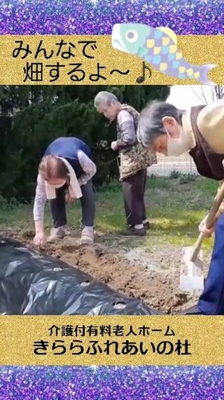 #きららふれあいの杜

みんなで畑するよ！

茄子ときゅうりの苗を植える準備です。

お日様が気持ちいいねー！

#ふれあいの杜新潟
#有料老人ホーム
#有料老人ホームの過ごし方
#入居者募集中