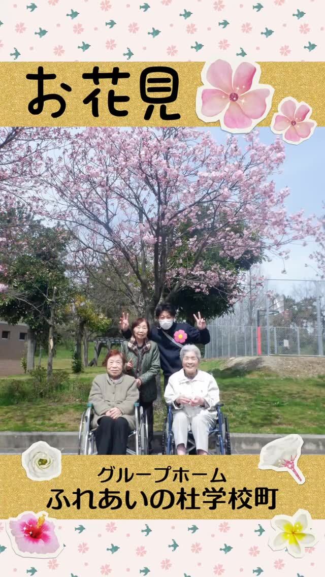 #グループホームふれあいの杜学校町


お花見( ´艸｀)


４月にみんなで白山公園や西海岸公園、施設近くの桜を見に行ってきました。
見事な桜、満開でとても綺麗でした( ´艸｀)

#ふれあいの杜新潟
#福祉 #介護施設 #デイサービス
ショートステイ グループホーム
有料老人ホーム 介護福祉士
看護 介護 介護支援専門員
新潟市 三条市 新発田市 上越市
利用者募集中 入居者募集中
職員募集中 技能実習 特定技能
介護留学生